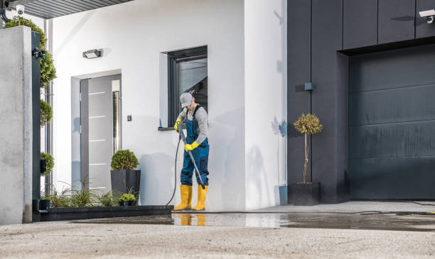 Best Driveway Pressure Washing  in Mill Neck, NY